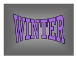 Winter Icon 